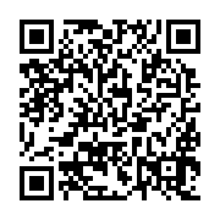 QR code for N6V 397
