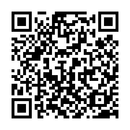 QR code for N6V 411