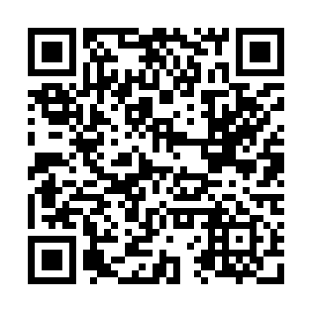 QR code for N6V 919