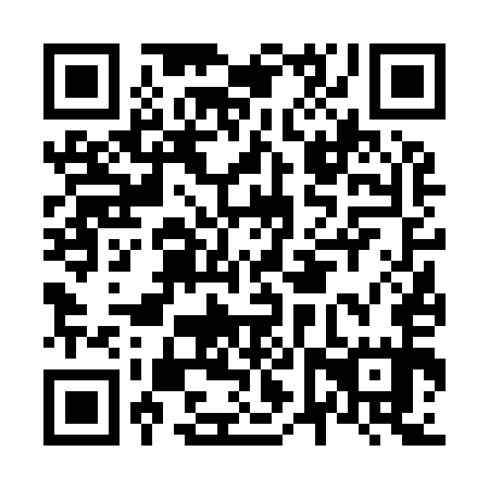 QR code for N6V 955