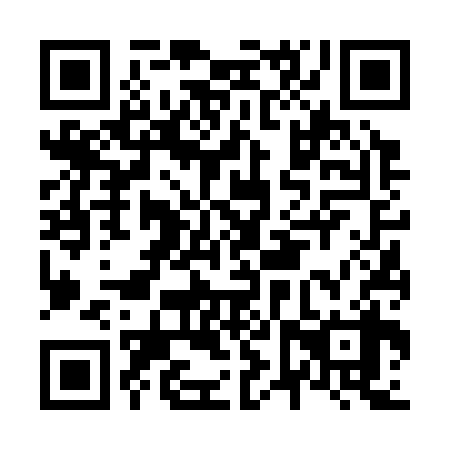 QR code for plate N6V 338
