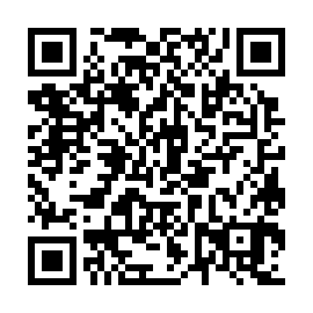 QR code for N6W380