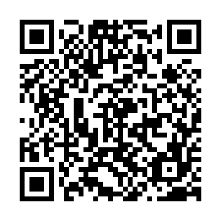 QR code for plate N6W 856