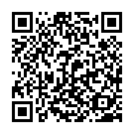 QR code for N6X 029