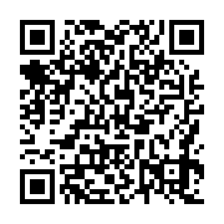 QR code for N6X 079