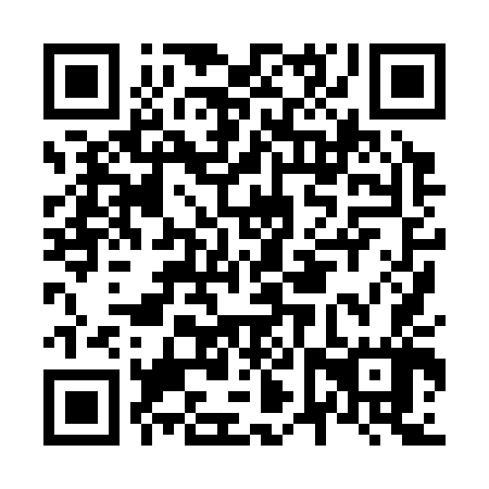 QR code for N6X 347