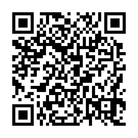 QR code for N6X 370
