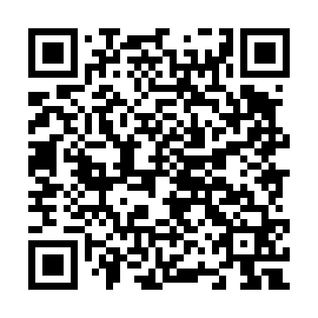 QR code for N6X 460