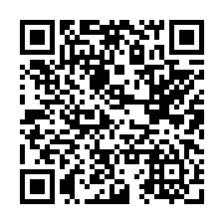 QR code for N6X 685
