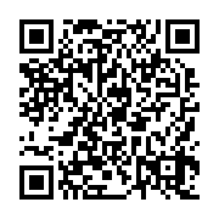 QR code for N6X238