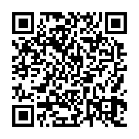 QR code for plate N6X 369