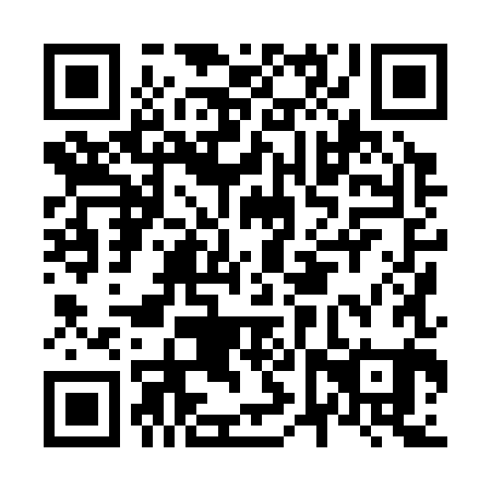 QR code for N6X381