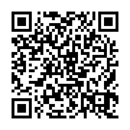 QR code for plate N6Y 163