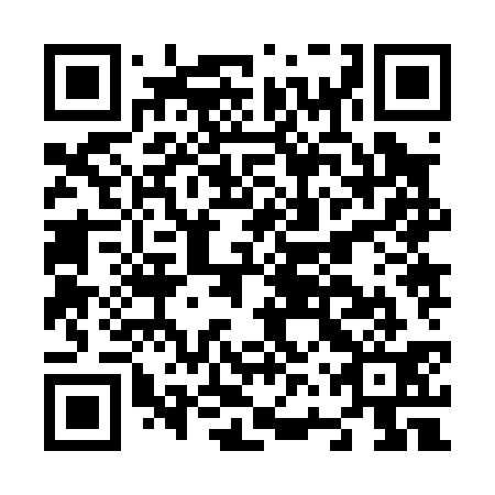 QR code for N6Z 031