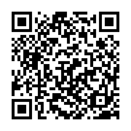 QR code for N6Z 133