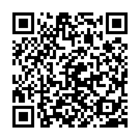 QR code for N6Z 539