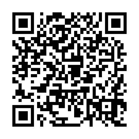QR code for N6Z 950