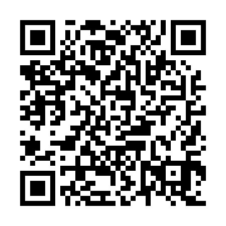 QR code for N6Z011