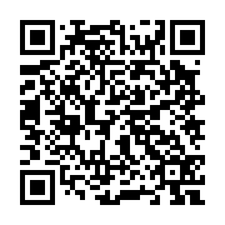 QR code for N6Z036