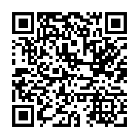 QR code for N6Z163