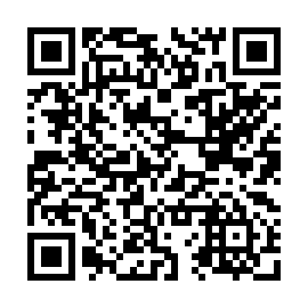 QR code for plate N6Z 295