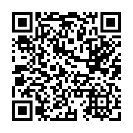 QR code for N6Z309