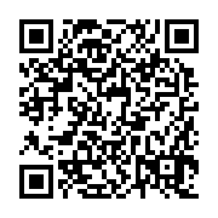 QR code for N6Z386
