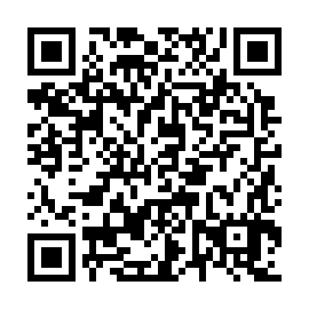 QR code for plate N6Z 387