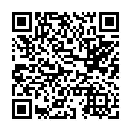 QR code for N6Z611