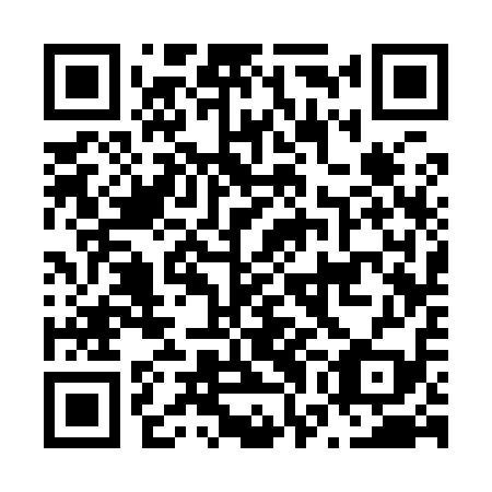 QR code for N7C 919