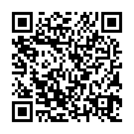 QR code for plate N7E 920