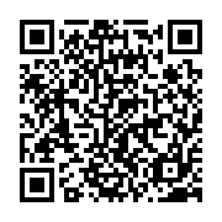 QR code for plate N7G 317