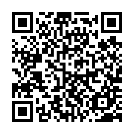 QR code for plate N7L 687