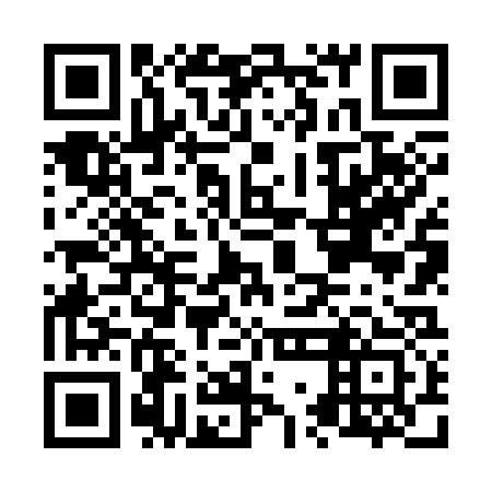 QR code for N7N 333