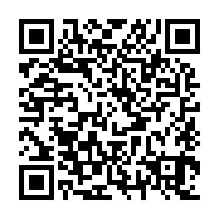 QR code for N7N 981