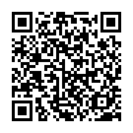 QR code for N7O 381