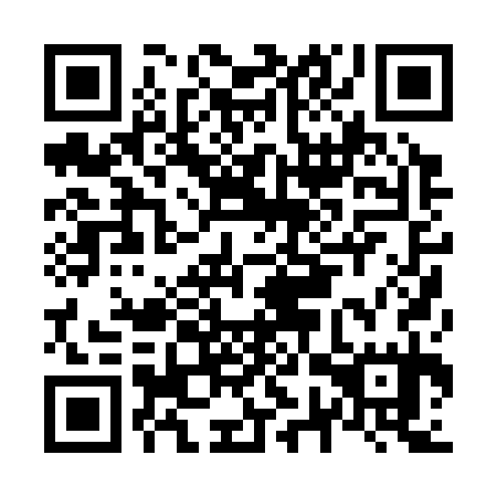 QR code for N7P 335