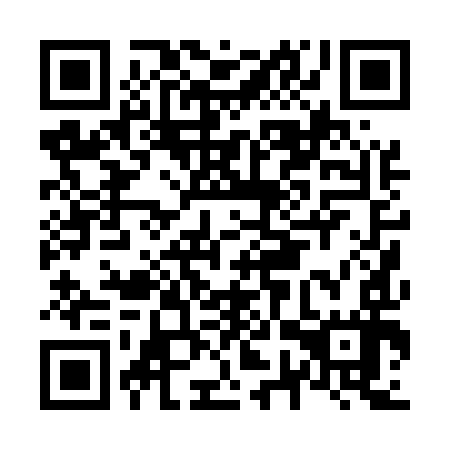 QR code for N7P 597
