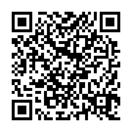 QR code for N7P304