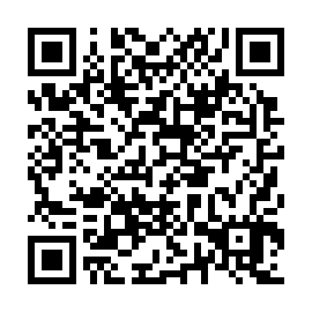 QR code for N7P307