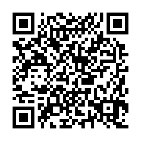 QR code for N7P384