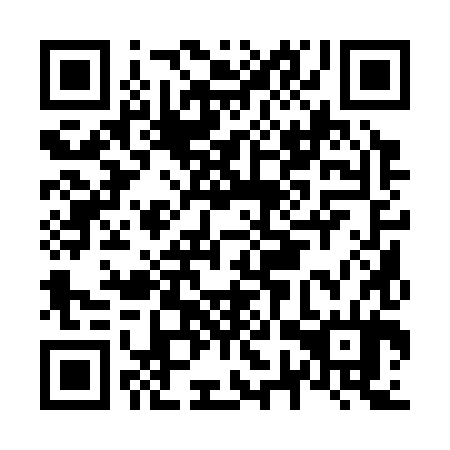 QR code for N7Q 384
