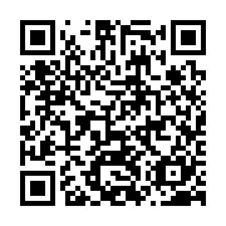 QR code for plate N7S 325