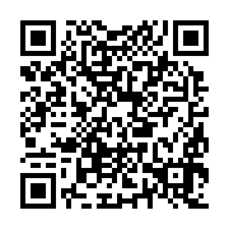 QR code for plate N7S 397