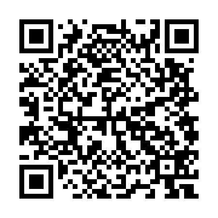 QR code for N7V 519