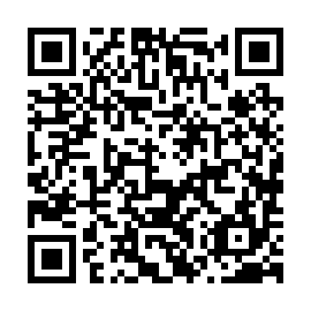 QR code for N7X 294