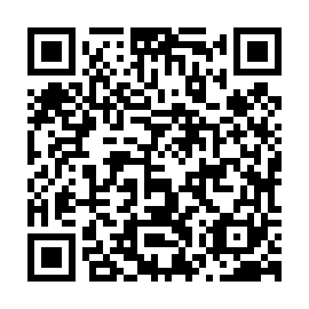 QR code for N7Z 461