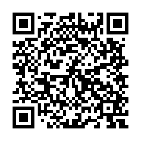 QR code for plate N7Z 541