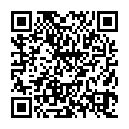 QR code for N8B 161