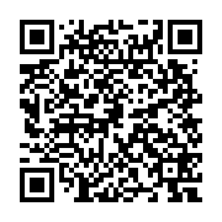 QR code for plate N8G 768